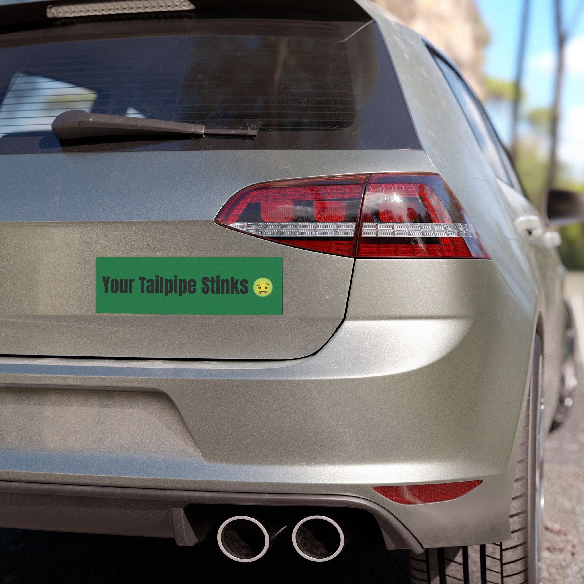 Your Tailpipe Stinks car magnet